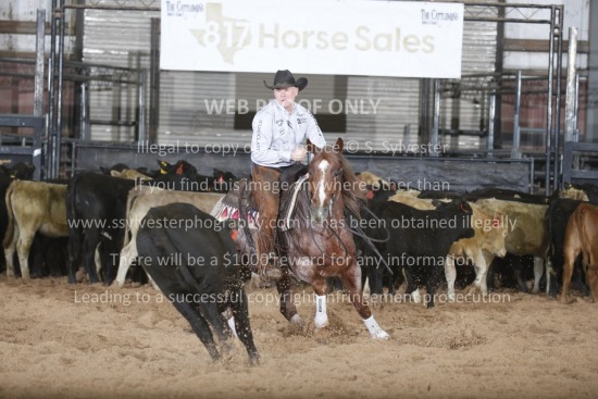 2025 Cattlemen's Derby