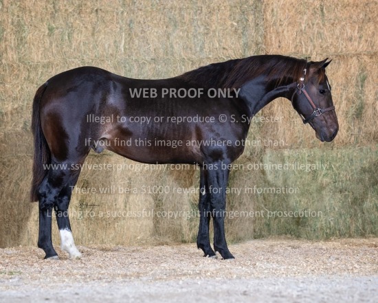 JC Sale Fitting 2024.10.29