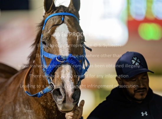 Sam Thompson Foundation 2024.11.17