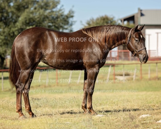 Turner, Kaitlyn 2024.11.06