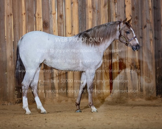 Moffitt Sale Fitting 2024.11.09