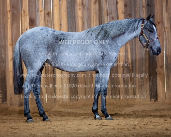 Moffitt Sale Fitting 2024.11.13 