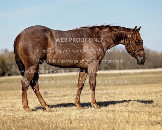 Moffitt Sale Fitting 2024.11.30