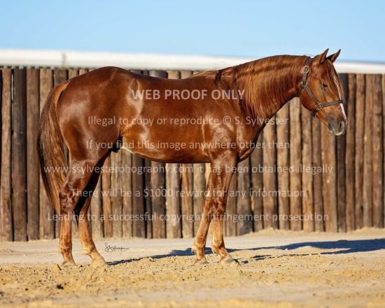 Trinity Valley Ranch 2024.11.05