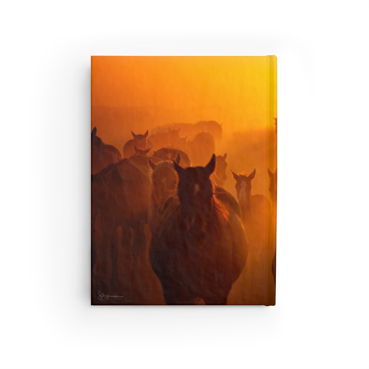 Sunrise Hard Cover Journal | SunriseJournalBack.jpg