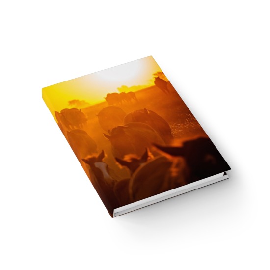 Sunrise Hard Cover Journal