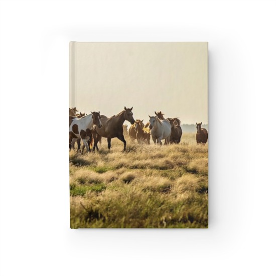 Mare Herd Hard Cover Journal 