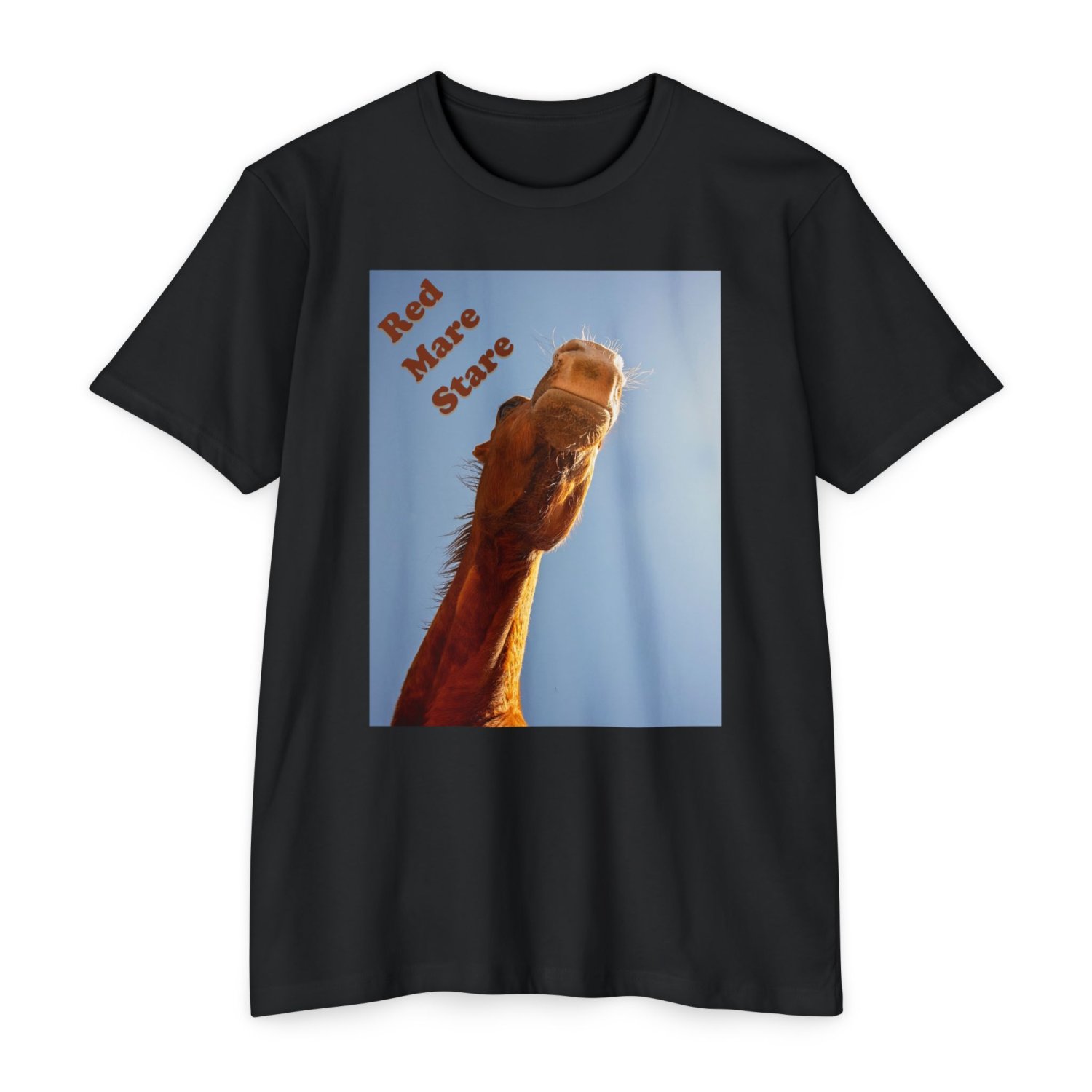 Red Mare Stare | Front_(9).jpg