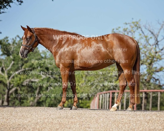 Westfall Ranch 2025.07.10