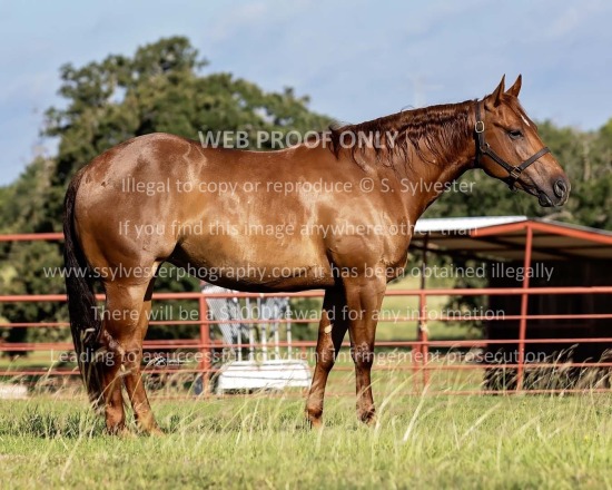 Holsey, Lee 2025.06.27