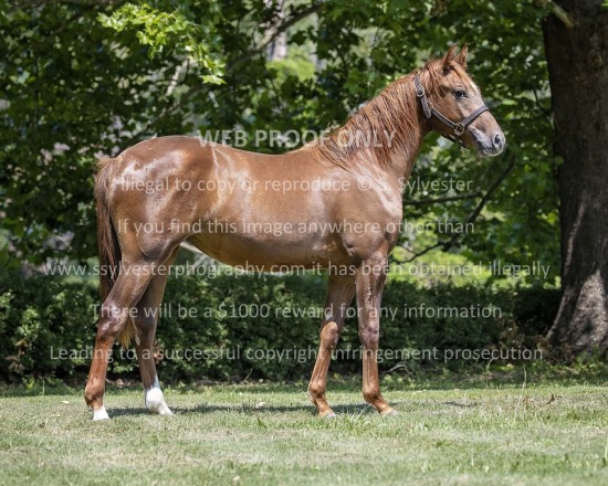 Creek Plantation 2025.07.08