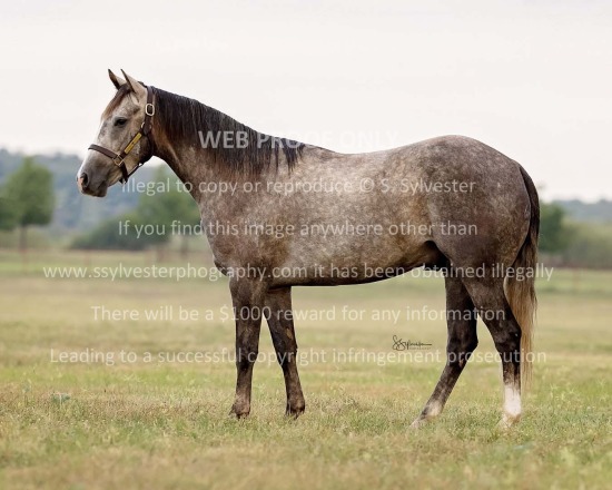 Pitchfork Ranch - RTTR 2025.07.14