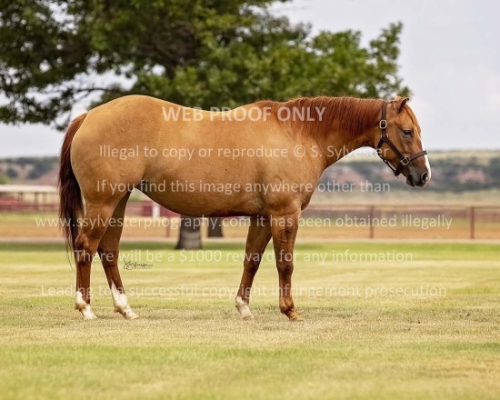 6666 Ranch - RTTR 2025.07.14