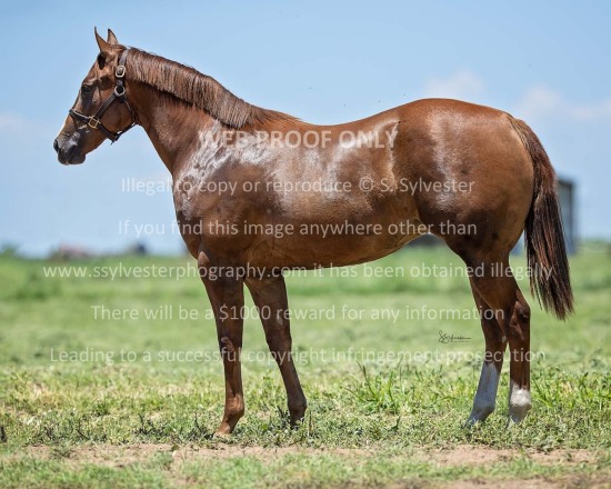 Johnston, Kirk 2025.07.19