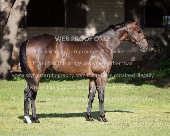 McClure, Bob 2025.07.19