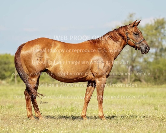 Tongue River Ranch - RTTR 2025.07.15