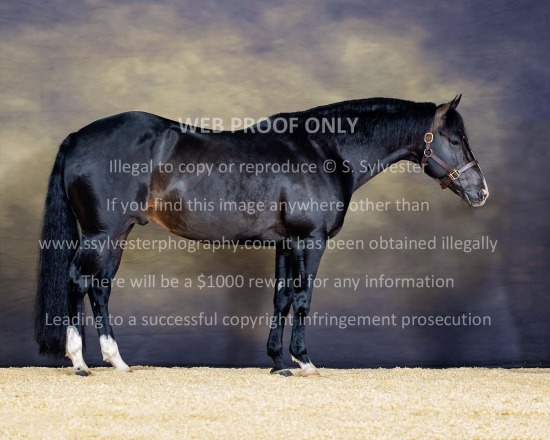 Teton Ridge 2025.08.05 