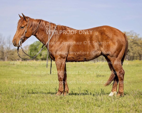 Nowak, Justin 2023.04.01 