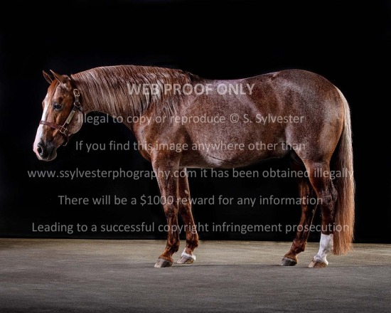 Guinn, Thomas 2023.01.06