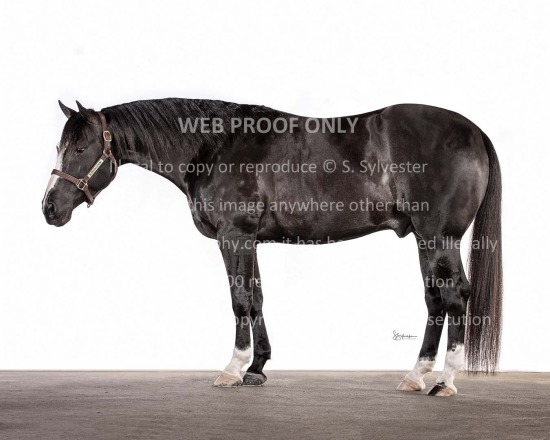 Plantations Farms 2023.01.06