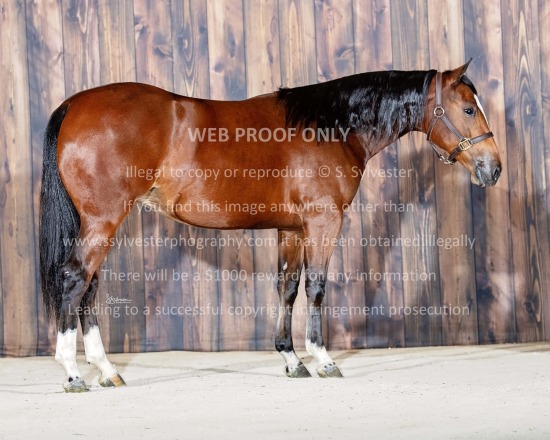 Valley Equine 2025.11.03