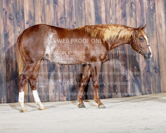 McLamb, JB 2025.11.03