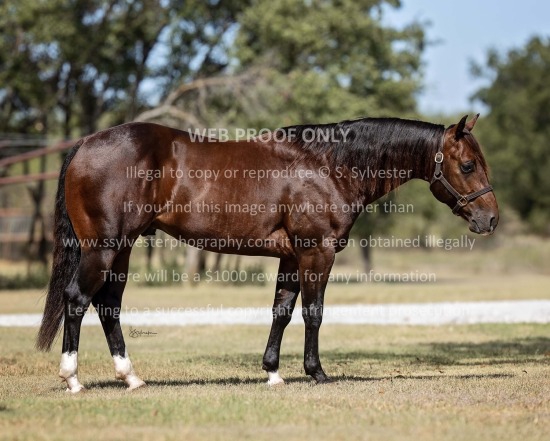 Rice, Caleb 2025.10.20