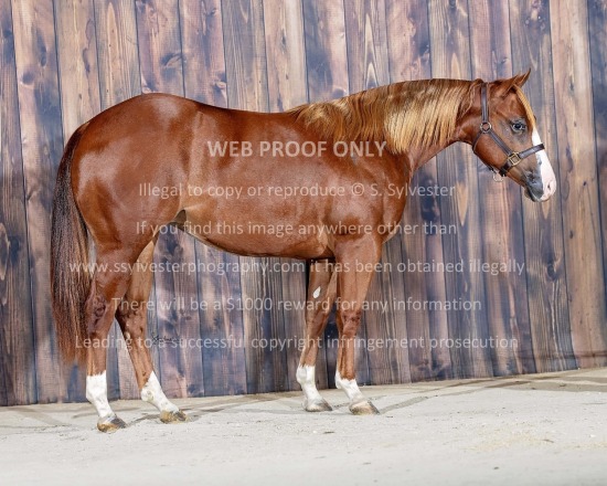 McLamb, JB 2025.11.05