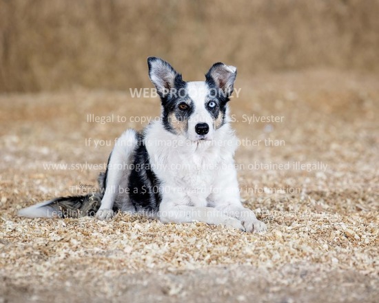 JC Sale Fitting 2025.11.06