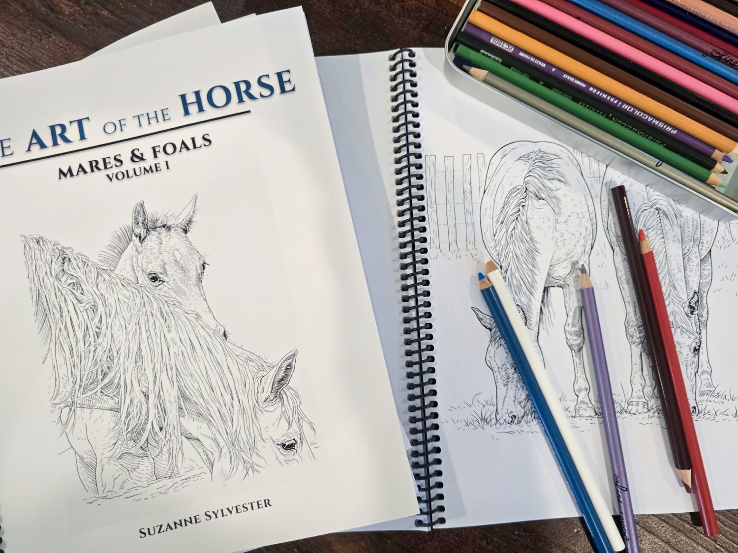 The Art of the Horse – Mares & Foals | Volume I (Coloring Book) | MaresandFoals002.jpg