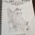 The Art of the Horse – Mares & Foals | Volume I (Coloring Book) | MaresandFoals001.jpg