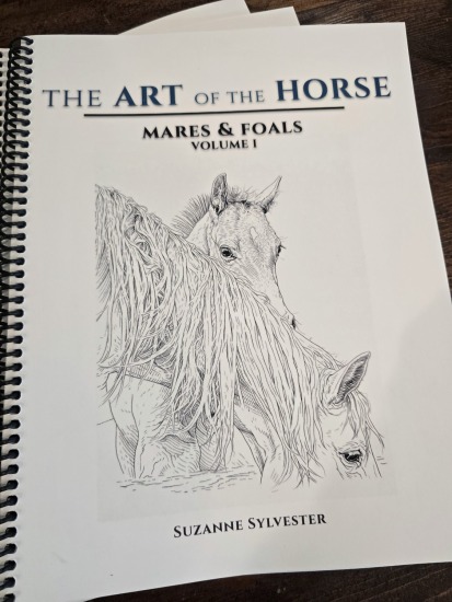 The Art of the Horse – Mares & Foals | Volume I (Coloring Book)