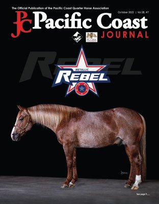 2022.10 Pacific Coast Journal cover photo by S. Sylvester Photography