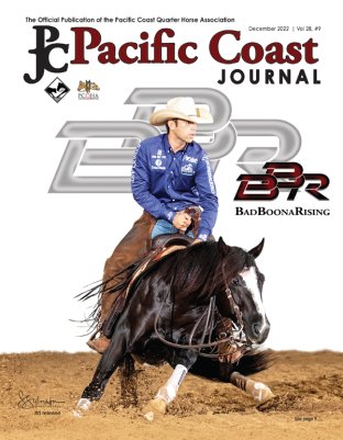 2022.12 PAcific Coast Journal cover photo by S. Sylvester Photography