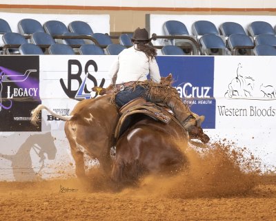 Reined cow horse fence turn