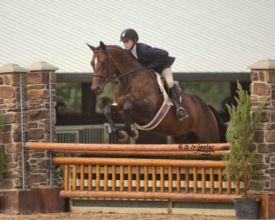 Hunter class at Texas Rose Horse Park